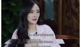 经纪公司爆料杨幂视频,经纪公司独家爆料，揭秘明星幕后生活