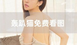 涵艺爆料的视频在哪看,揭秘热门内容观看途径